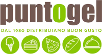 Puntogel Srl Logo